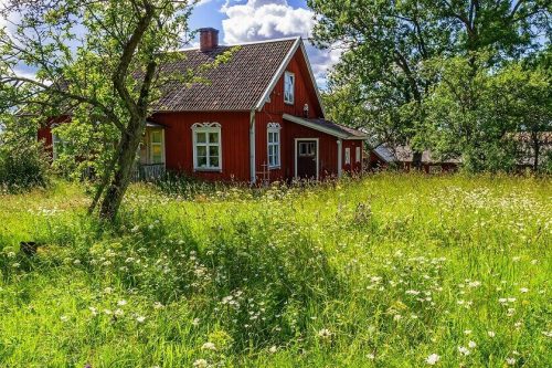 Undgå arveafgift: Giv sommerhuset til børnene