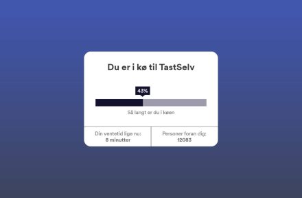 Årsopgørelse for 2024