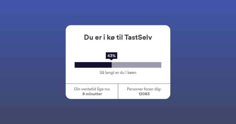 Årsopgørelse for 2024
